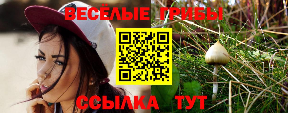 Галлюциногенные грибы прущие грибы Казань